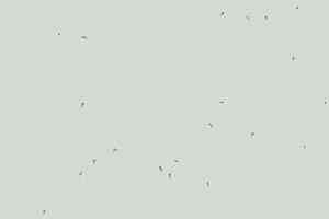 Линолеум Forbo Sphera Energetic 50220 mineral фото  | FLOORDEALER